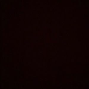 Meet your Posher, Audrey